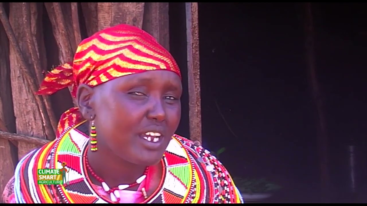 Effects of drought in Marsabit county