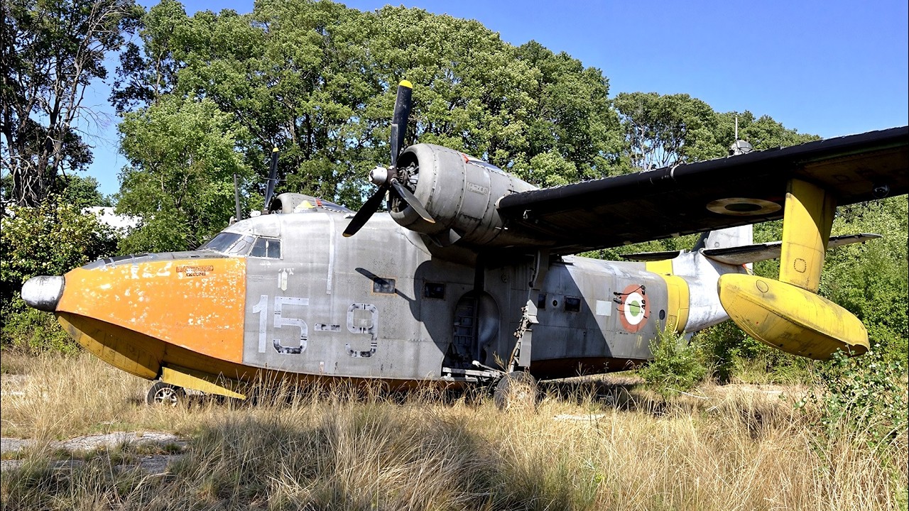 RARE OLD ENGINES ROAR Back to Life The Most Satisfying Startups EVER! 6