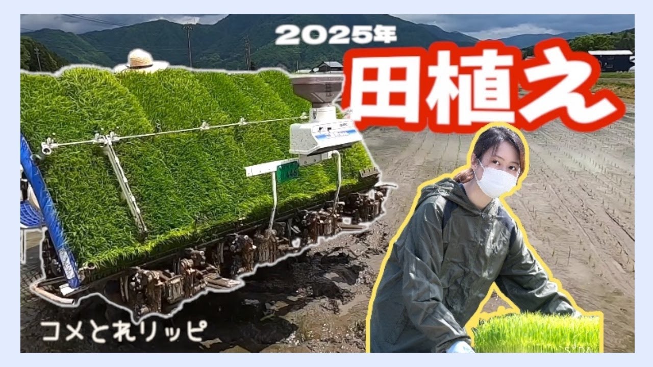 2025年 田植え