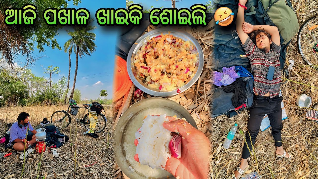 Day - 17 // All India Cycle Yatra #rinkulodiavlogs #allindiatravel #12jyotirling