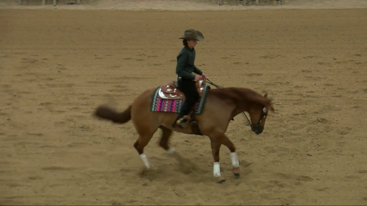 Ice Cube and Luca Fappani High Roller Reining Classic