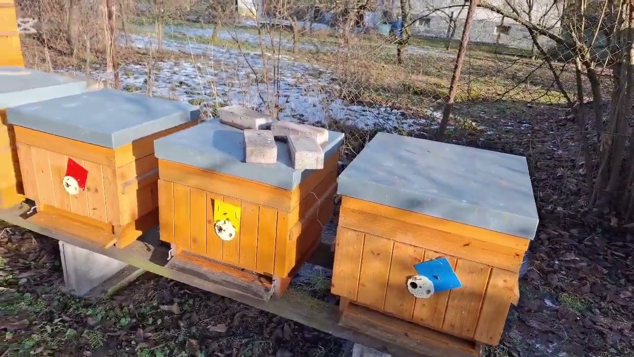 Včely 27.1.26 Písecko 4°C - zimující 4 nástavkové (39×24) včelstvo