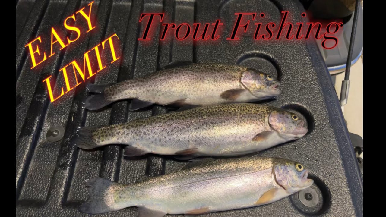 Fishing for stocked trout at the pond.  Cold day of fishing, but easy limits,