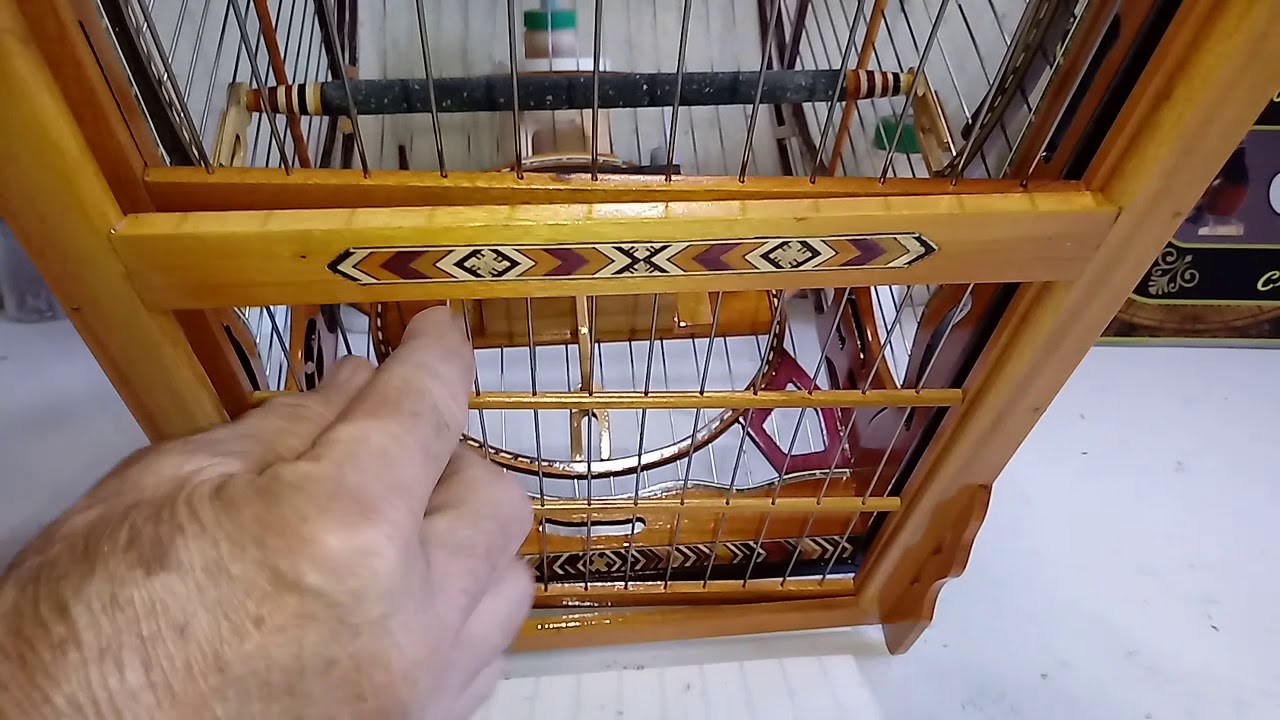 GAIOLA PARA CURIÓ.