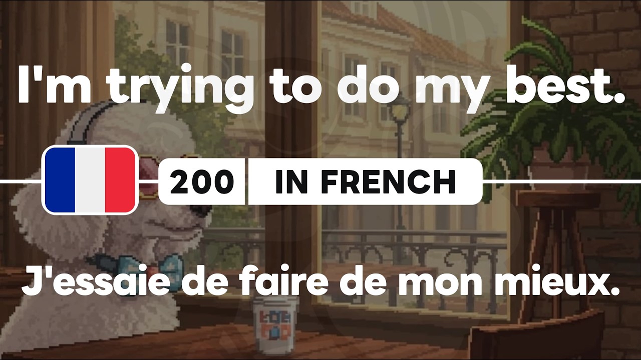 🇫🇷 200 French Phrases 28 Patterns for Beginners 