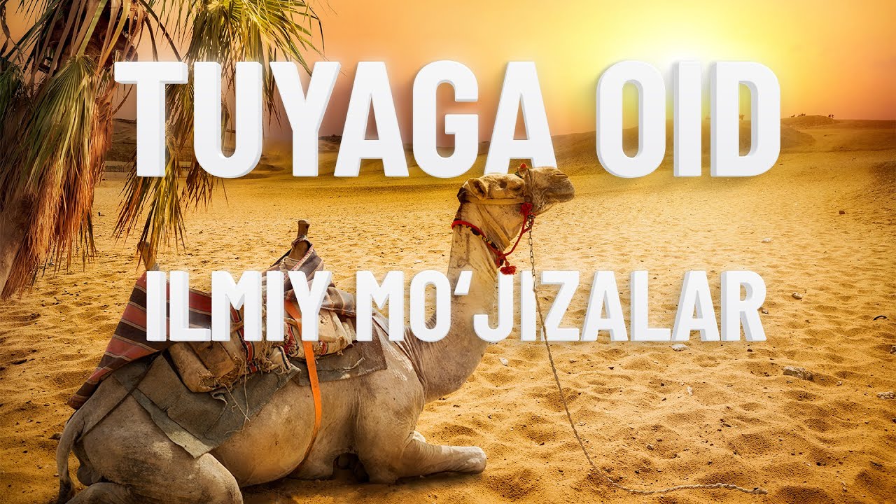 Tuyaga oid ilmiy mo‘jizalar | Allohning mo'jizalari 38-son
