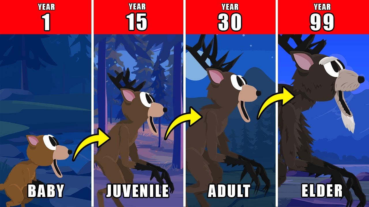 99 Years of The Deer 99 Life Documentary: How The Deer 99 Might Have Lived