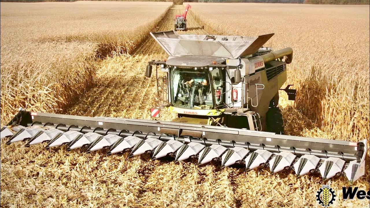 16 Row Olimac - Claas Lexion 7600 & Claas Xerion 5000  Westhoff Agrar - Project X Corn Harvest 2021