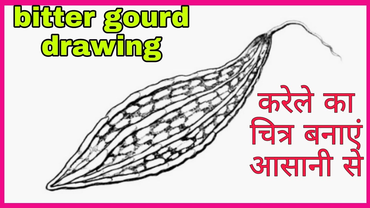 How to draw bitter gourd step by step. drawing of bitter gourd.आसानी से कैसे बनाएं करेले का चित्र।