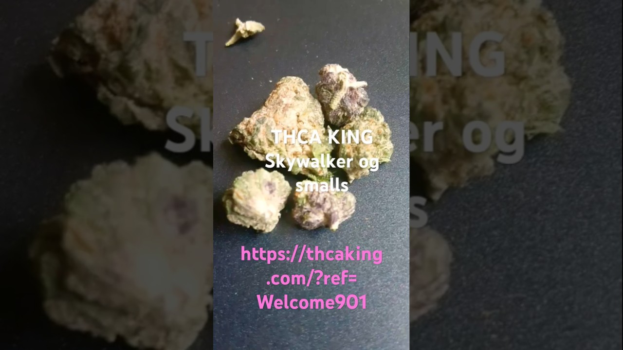 Thca King Skywalker OG #thcaking #thcareview #SkywalkerOG