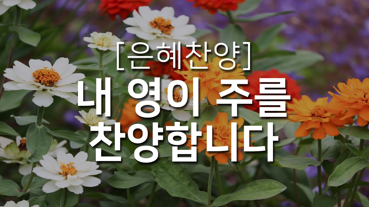 [복음성가연속듣기] 내 영이 주를 찬양합니다_하루찬양( 중간광고 없음, 은혜찬양연속듣기 )