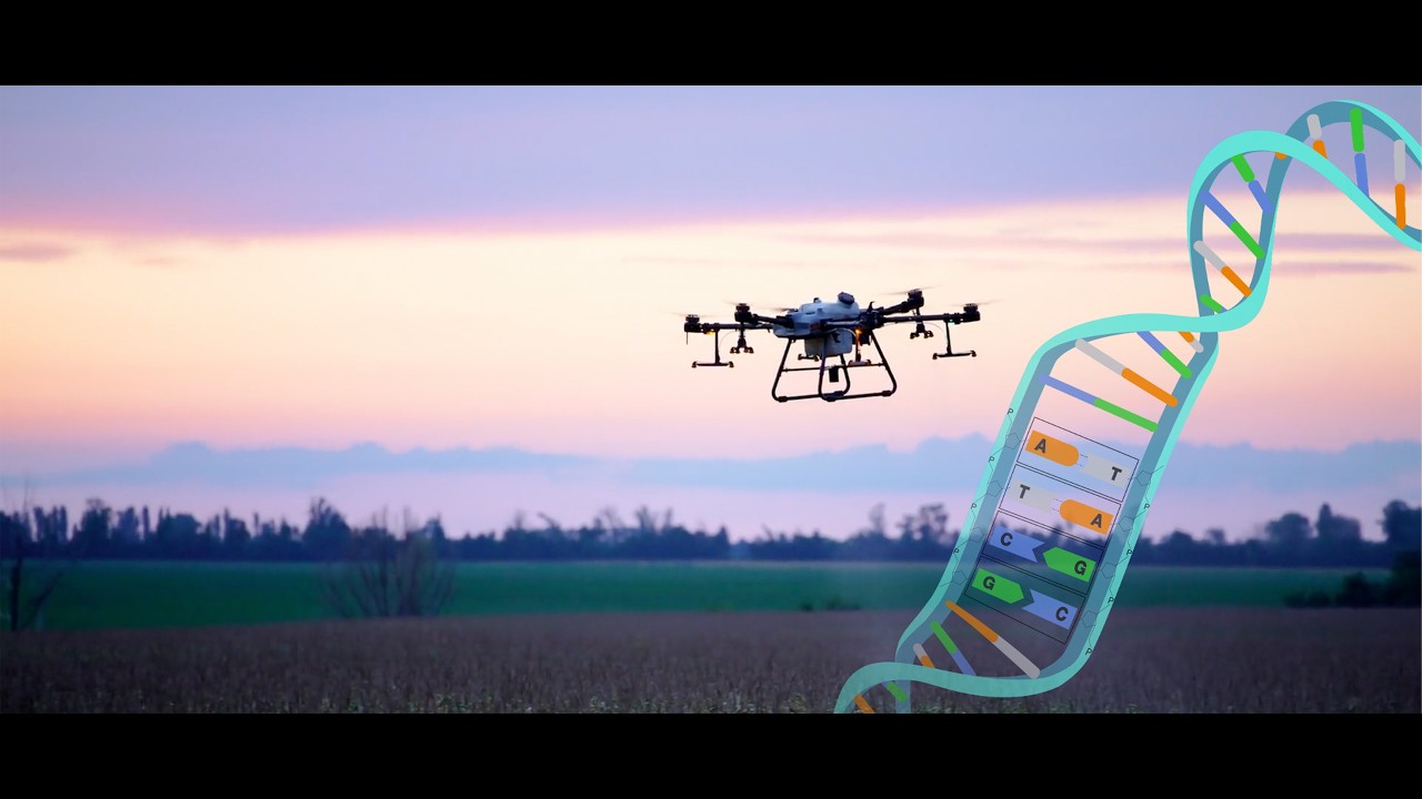 Drone-based Genetic Validation: Abby's project!
