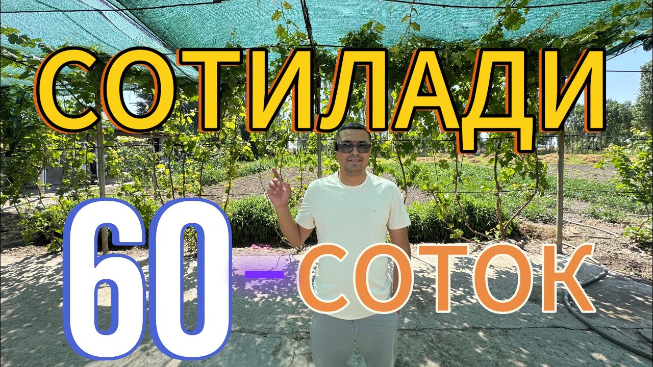АРЗОН 60-СОТОКЛИ ХОВЛИ УЙ-ЖОЙ БОГЛАРИ БИЛАН ТЕЗДА СОТИЛАДИ.