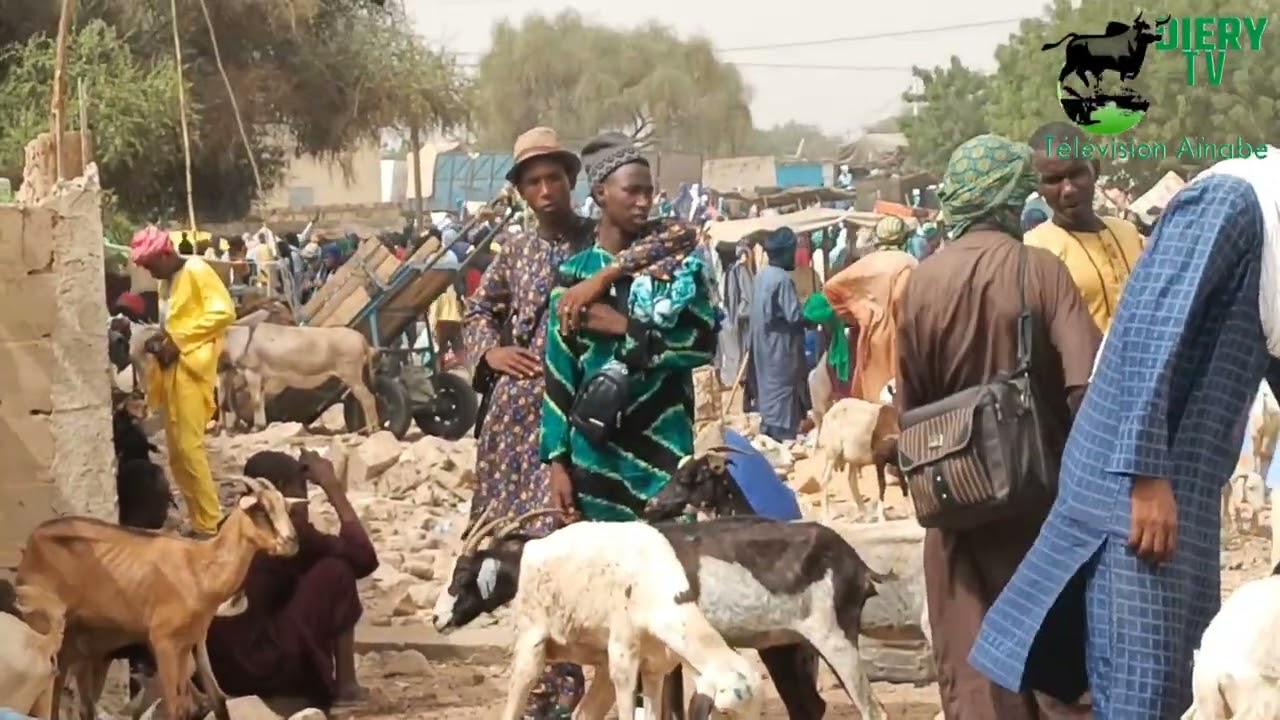 BIENVENUE À KEUR MOMAR SARR (KMS)