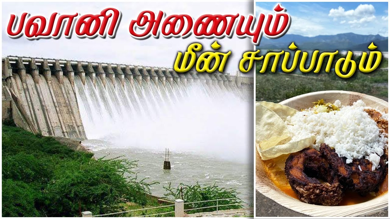 பவானி அணையும் மீன் சாப்பாடும் 🐠 | Bavani Sagar Dam | Erode | Aramentals Vlog | Tamil