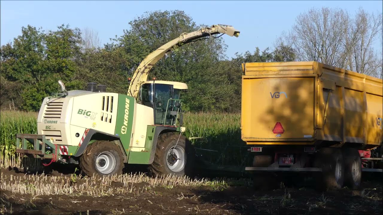 Wiverco mais hakselen 2024 (2) in natte omstandigheden , Krone Big X 700