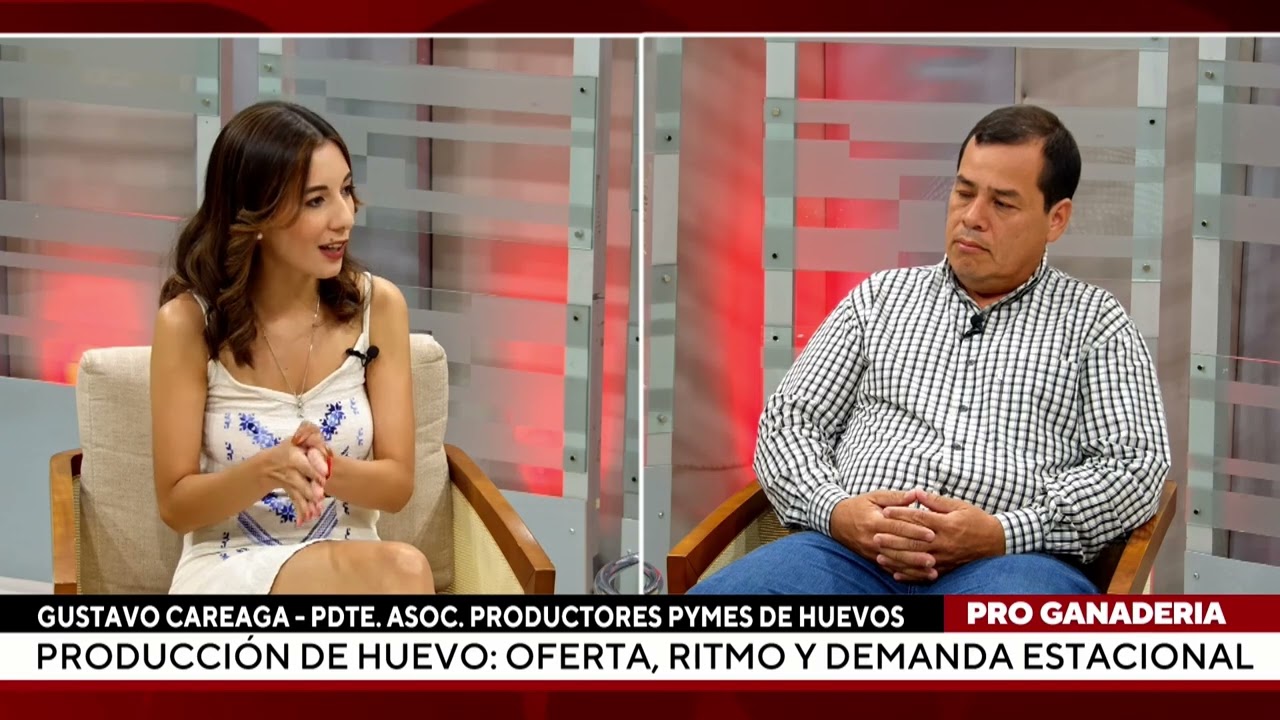 Producción de huevo: Oferta, ritmo y demanda estacional