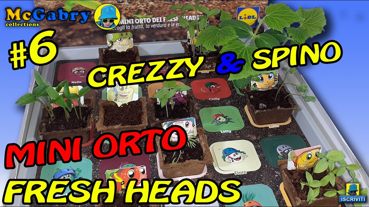 THE FRESH HEADS MINI ORTO #6 COLLEZIONE PIANTINE LIDL 2022 UNBOXING ORTO E APPLICAZIONE FRESH HEADS