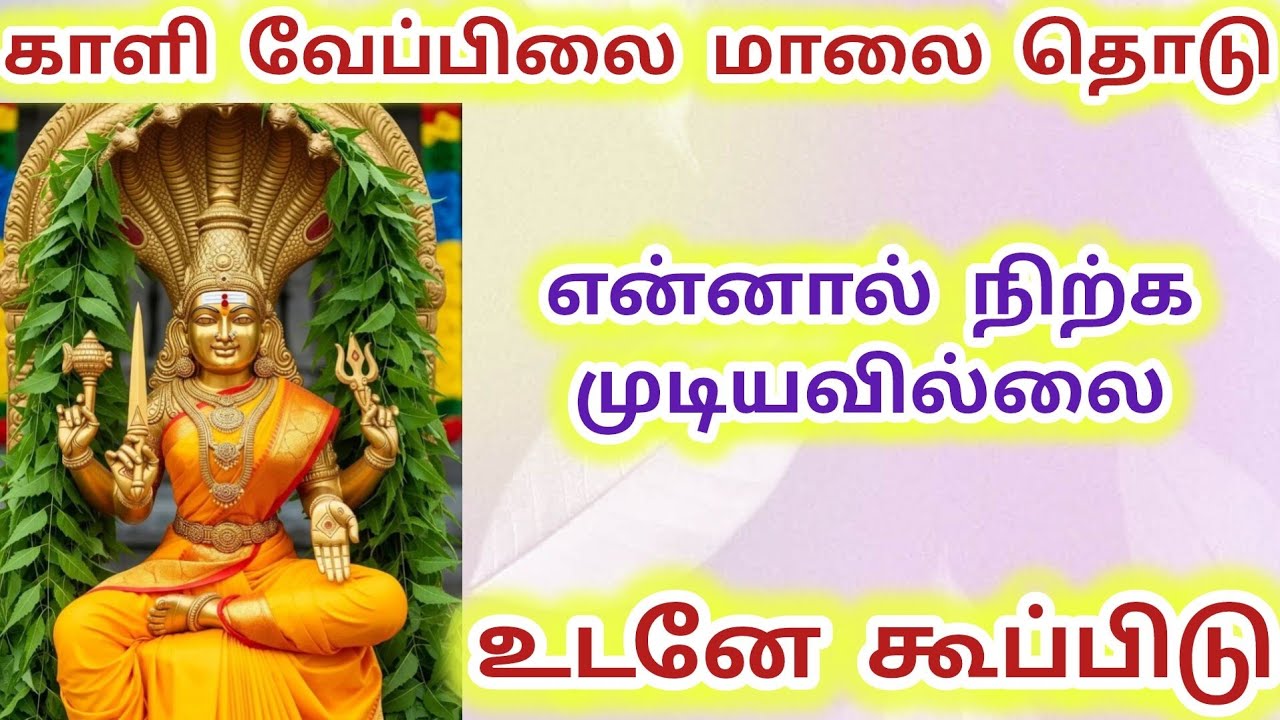 காளி வேப்பிலை மாலை தொடு என்னால் நிற்க முடியவில்லை உடனே கூப்பிடு #காளியம்மன் #அம்மன் #amman 