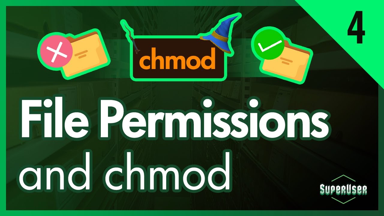 Linux for Programmers #4 | chmod and File Permissions