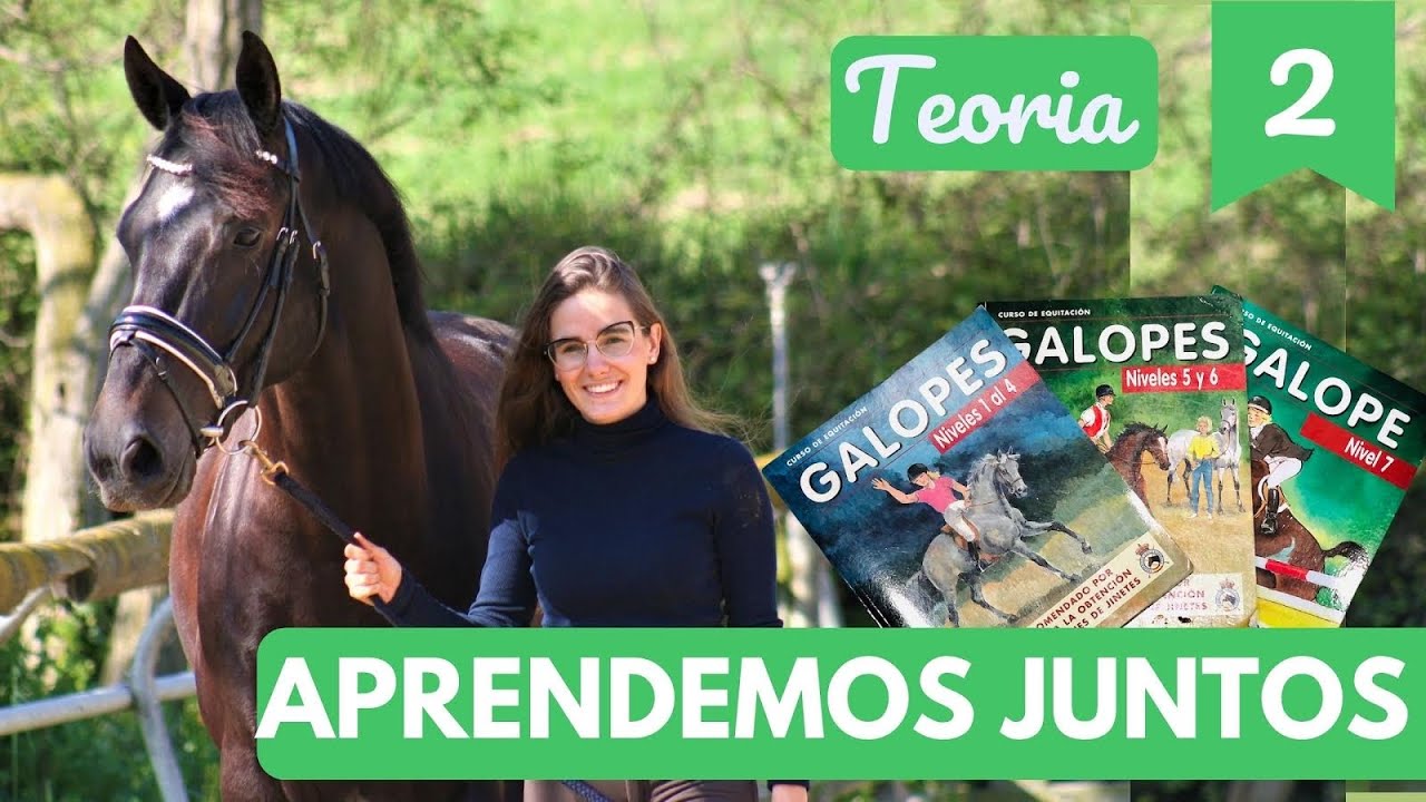 Hipologia b&agrave;sica, seguridad del jinte, disciplinas ecuestres&hellip;