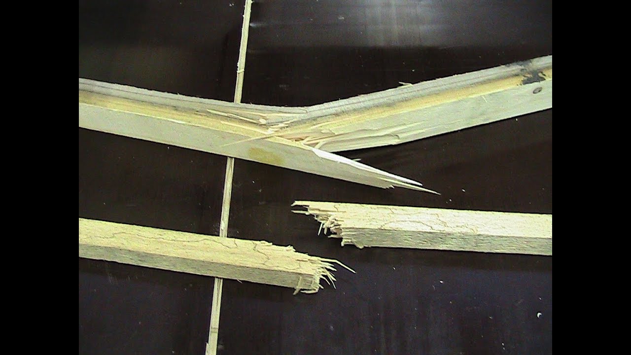 Wood Identification 101 episode 1, Spruce and Fir