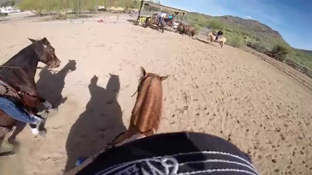 4 Steps for Training a Horse for Mounted Shooting