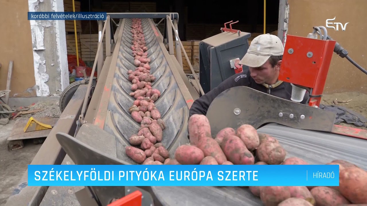 Székelyföldi pityóka Európa szerte – Erdélyi Magyar Televízió