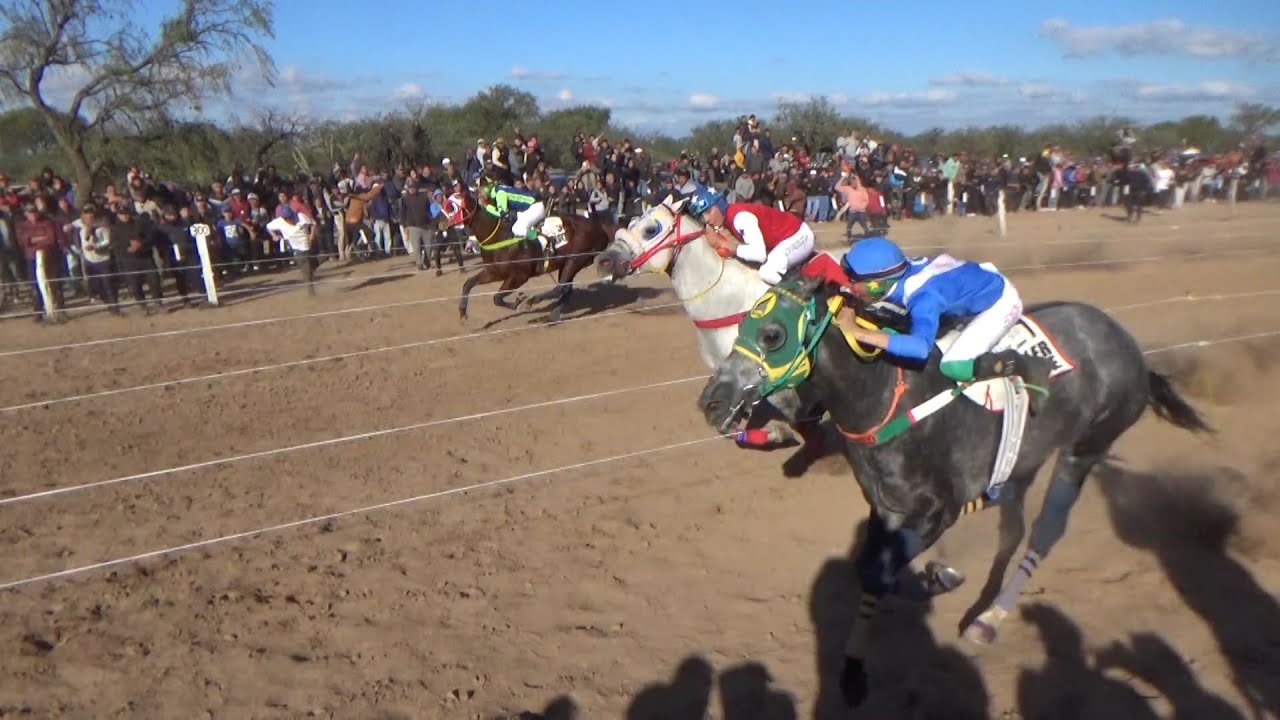 Claudioturf Hipódromo de Catuna - Euller Verde - África Jess 25.05.2025