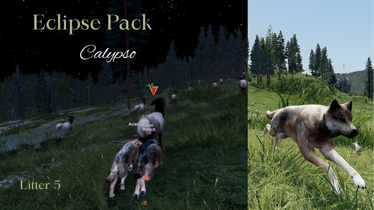 Eclipse Pack - Calypso L5 - Raise Pups/Rendezvous [Wolfquest Saga]