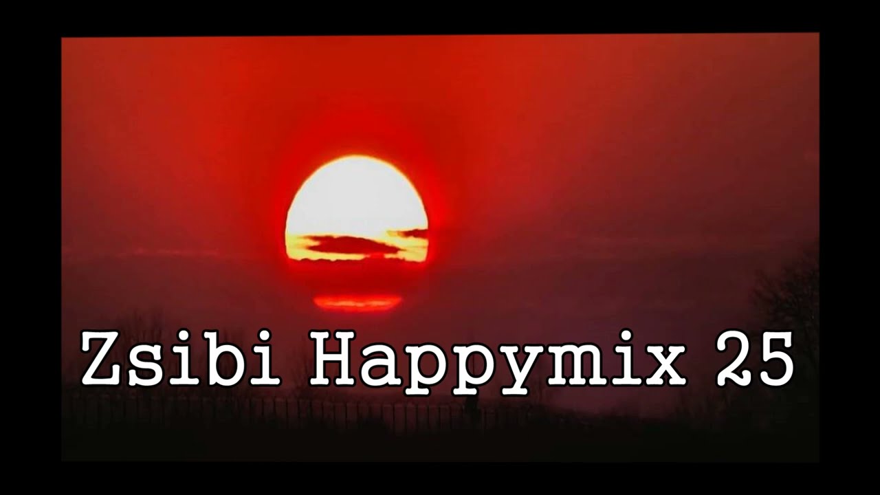 Zsibi Happymix 25