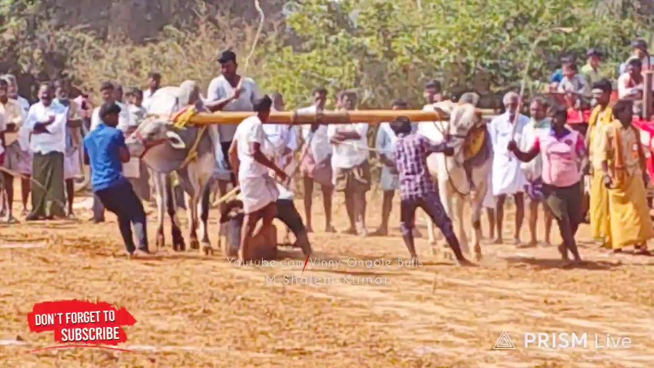 PR పల్లి  గ్రామం పాపిలి (మం) 4పళ్ళు 3వ జత 💥💥💥