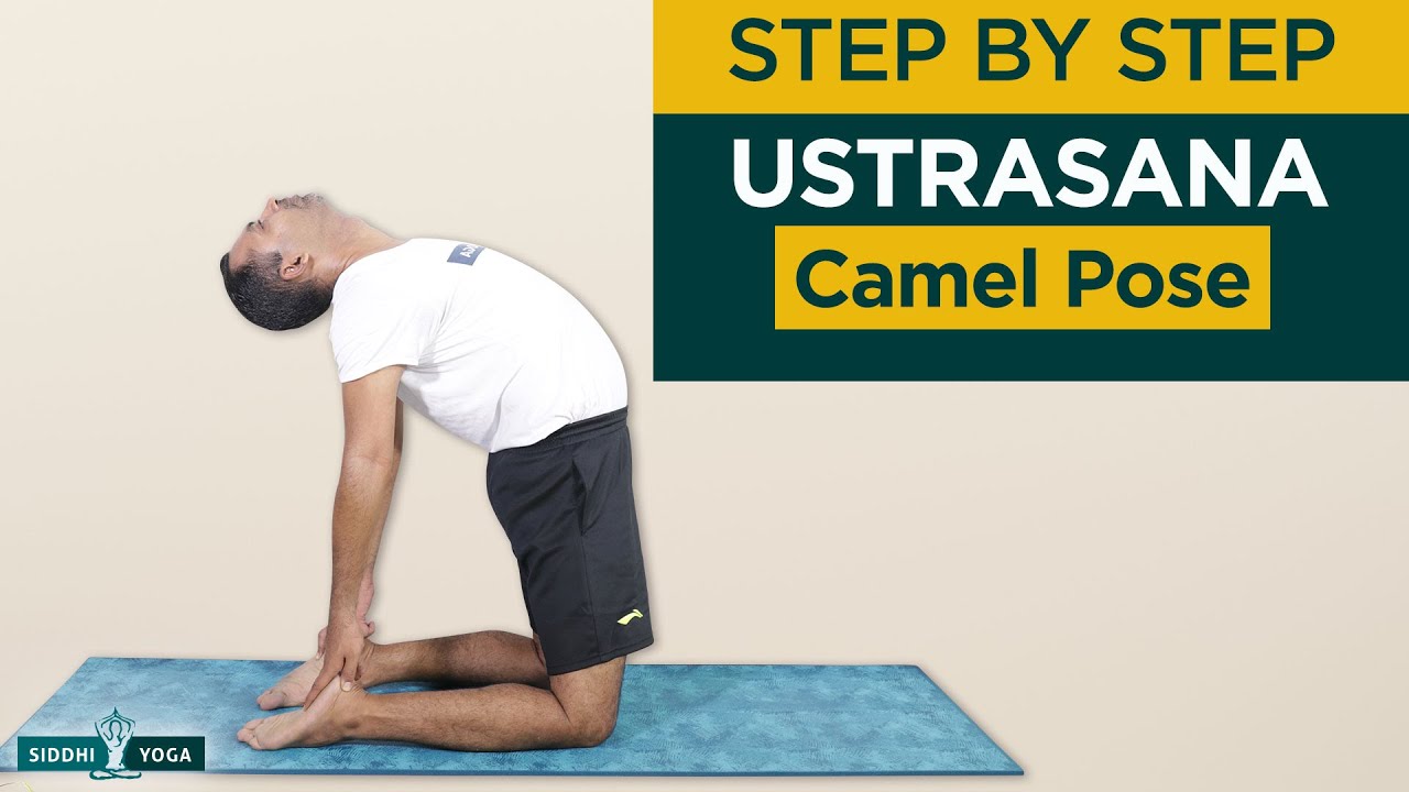 Ustrasana (Camel Pose) Benefits, How to Do & Contraindications by Yogi Sandeep - Siddhi Yoga