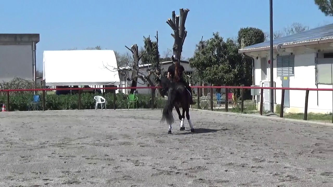 Ginevra Coperchio_TUTORIAL SPALLA IN DENTRO
