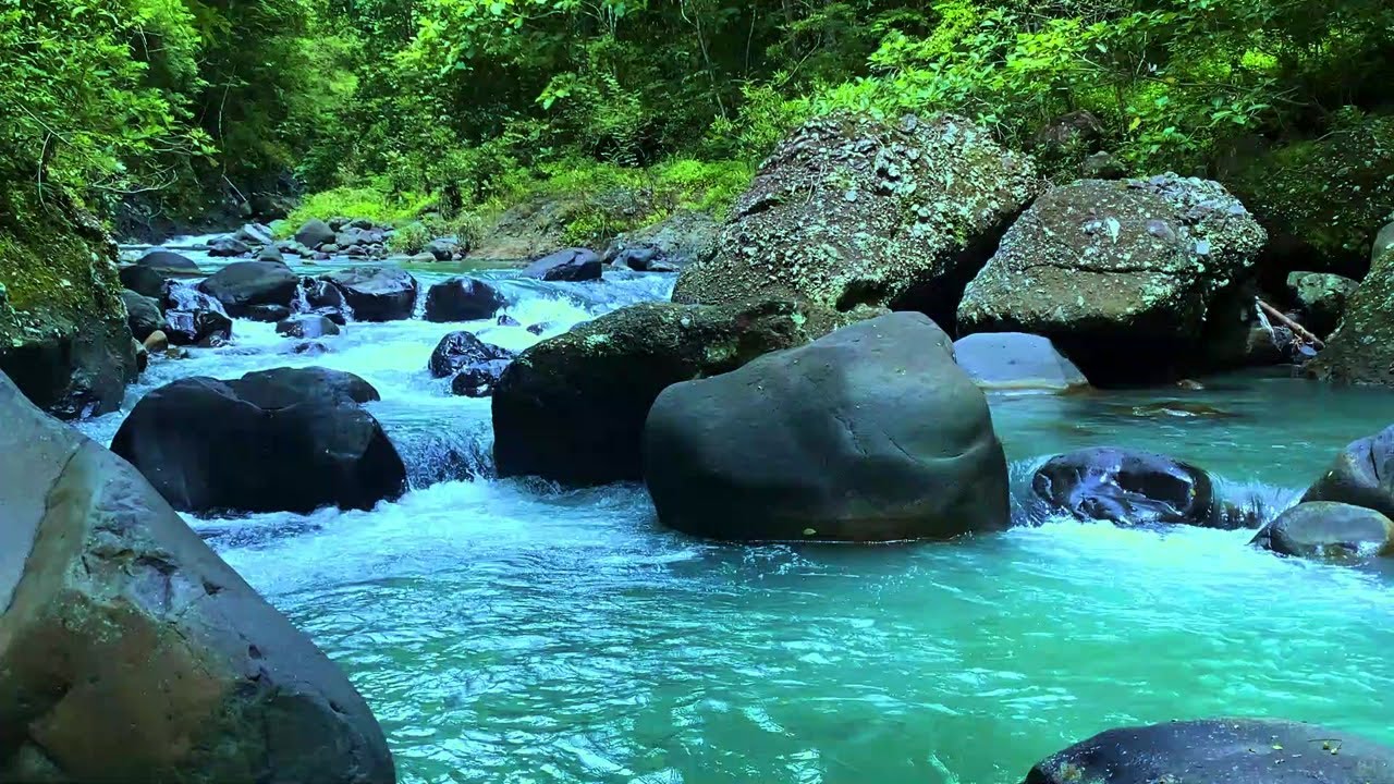 Peaceful River Stream Sounds for Study, Focus & Nature Ambience