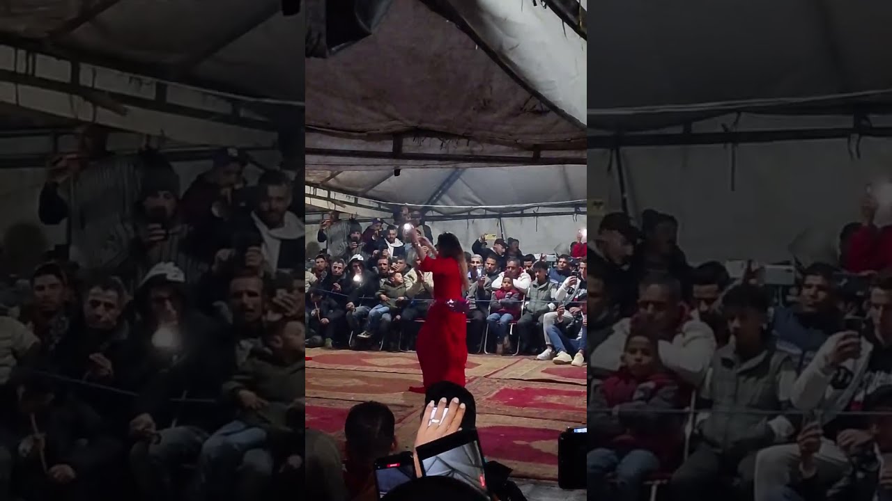 14 فبراير 2026
