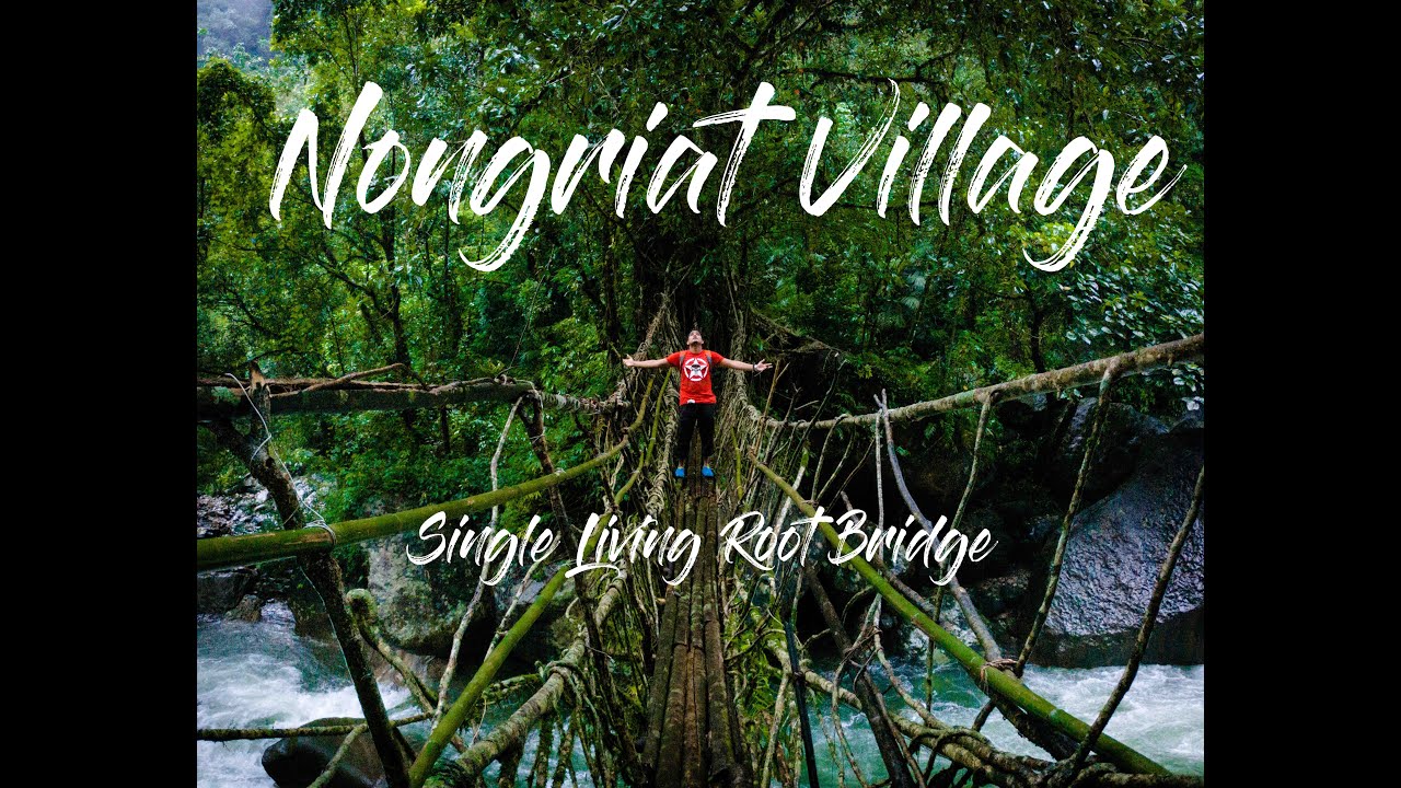 On The Way To NONGRIAT Village Single Living Root Bridge-Part-2