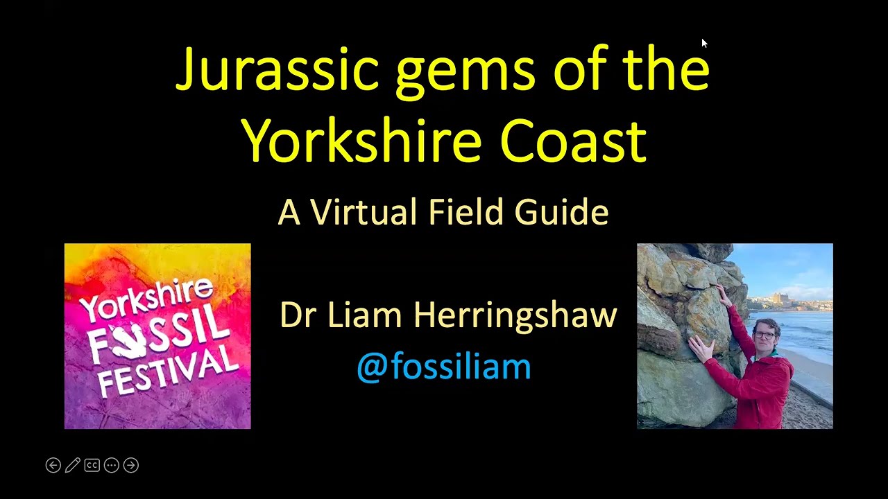 Jurassic gems of the Yorkshire Coast: A Virtual Field Guide