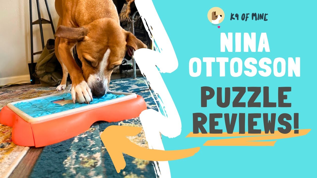 I Tested Every Nina Ottosson Outward Hound Dog Puzzle – Here’s What You Need to Know!