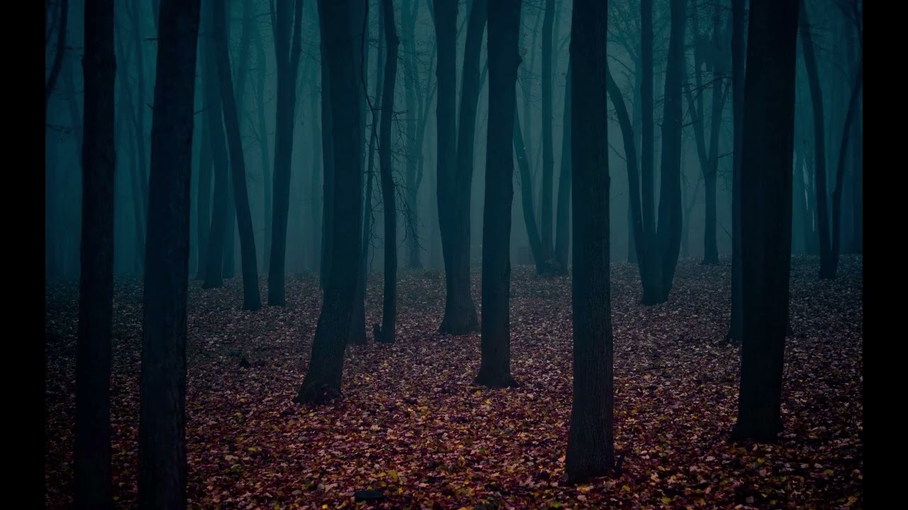 ASMR: Negative and Positive affirmations