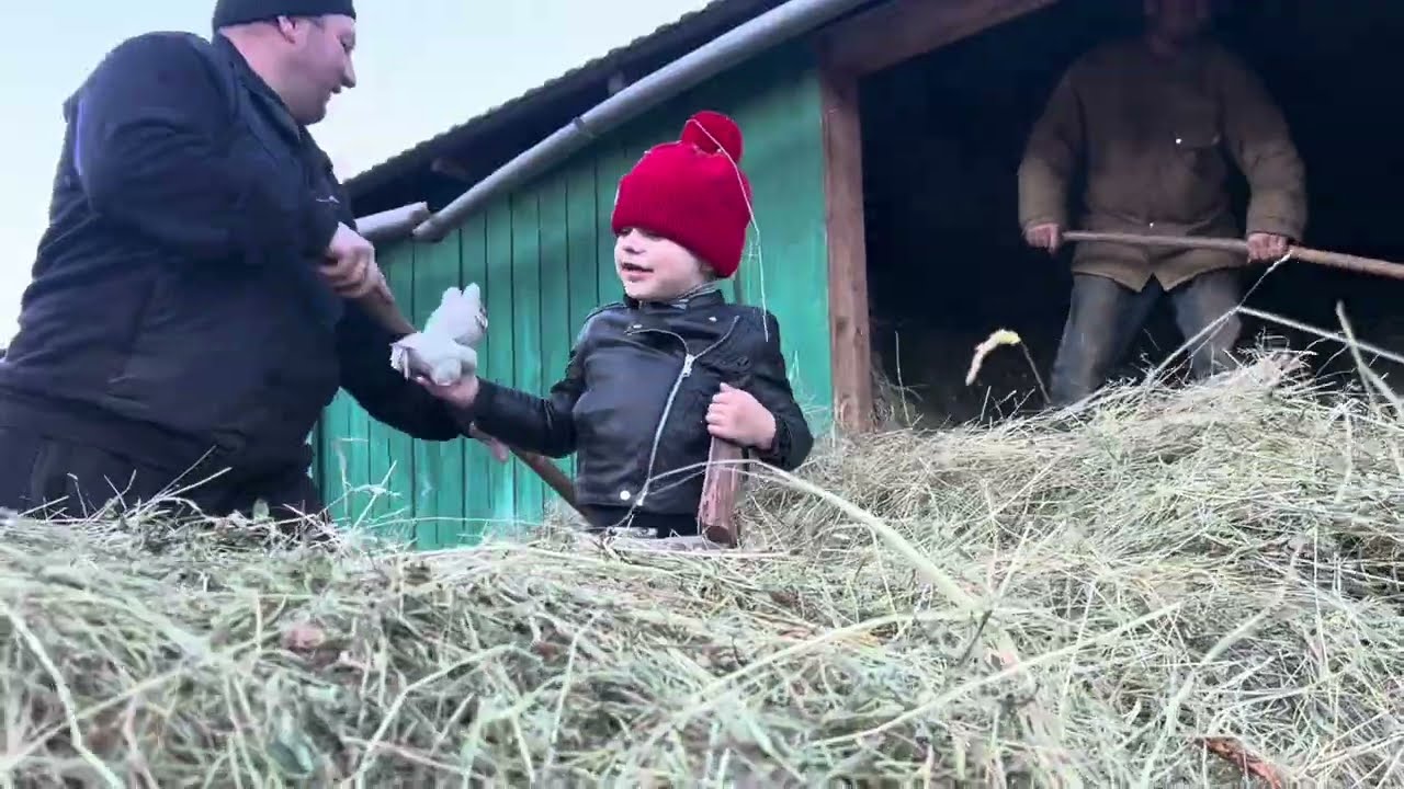 One day in the life of the village: hay, friendship and delicious dinner