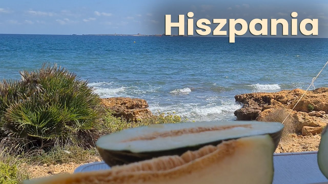 Flamingi w Hiszpanii - Santa Pola