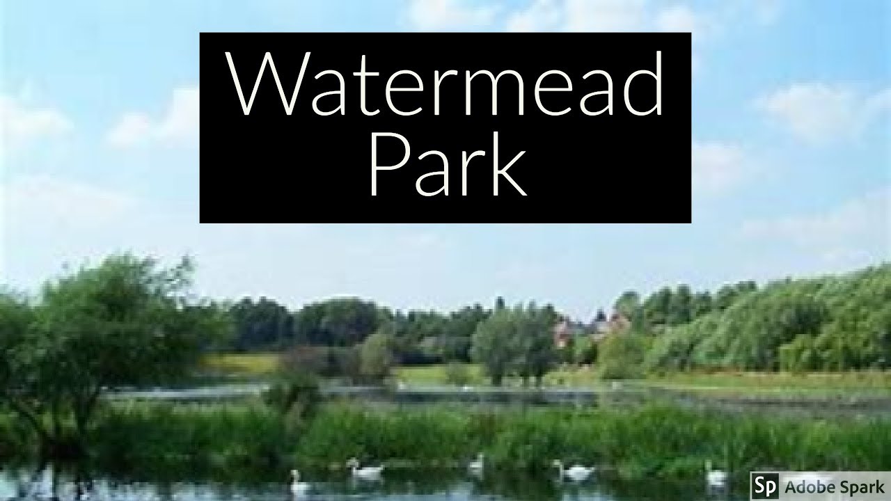 Travel Guide My Day Trip To Watermead Park Leicestershire Pros And Con's Review