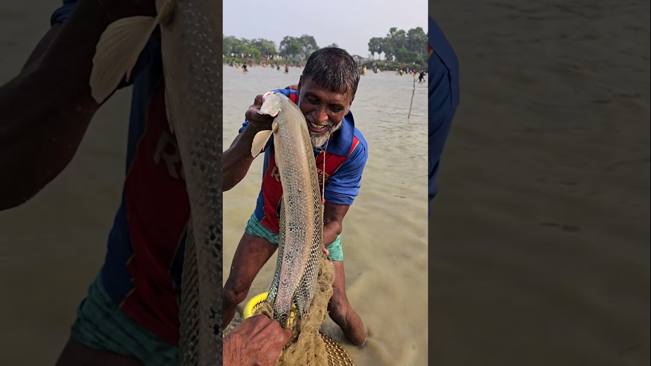 Wow! Amazing Polo Fishing Videos ! Best Big Fish Catching🐟Primitive fishing 