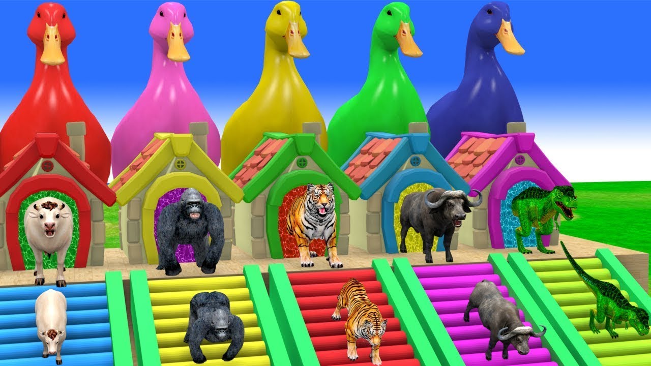 Long Slide Game With Cow Elephant Gorilla Hippopotamus Tiger 3d Animal Game Funny 3d Animals