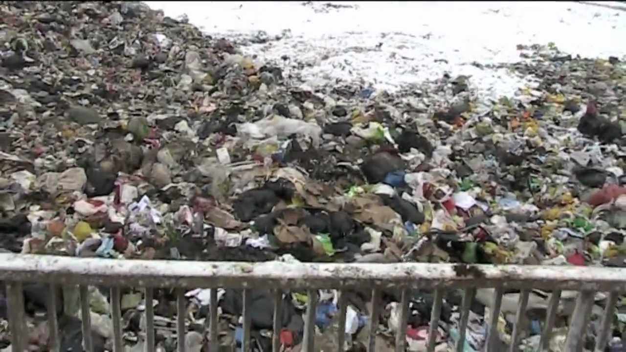Riding TANA landfill compactor at the landfill