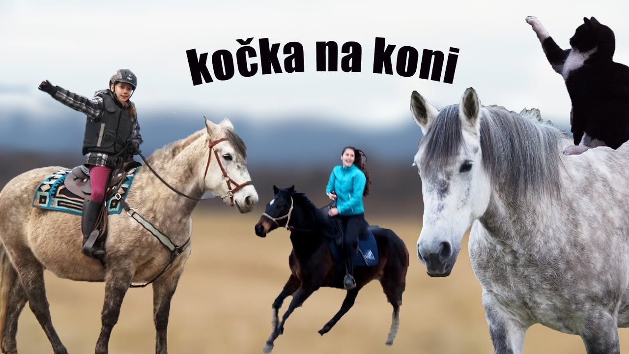 Malá Áďa opět na koni ★ Kristy cválá na Elišce