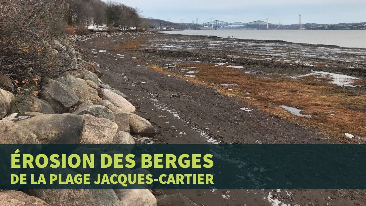 Érosion des berges de la plage Jacques-Cartier