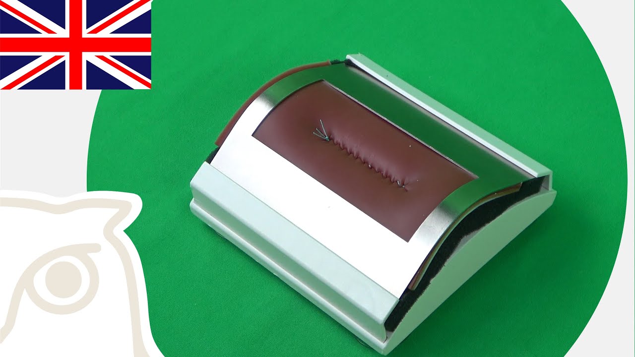 CSL: Continuous Sutures - Lembert Suture