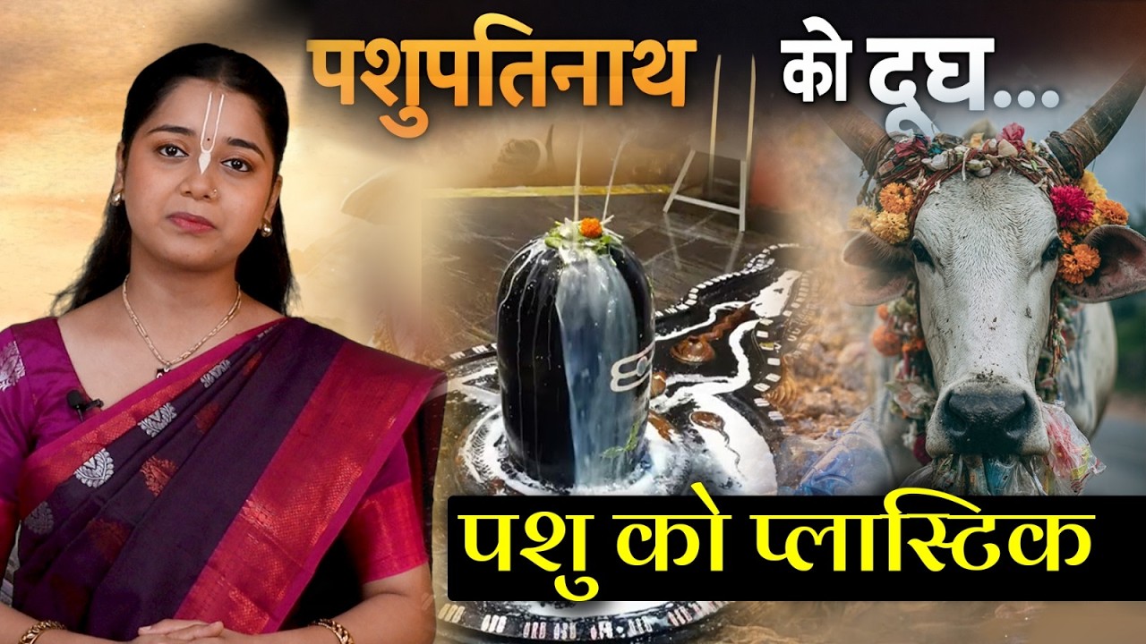 नंदी को दूध, लेकिन गाय को PLASTIC क्यों? Milk for Nandi, Plastic for the Cow — Time to Reflect